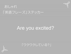 Are you excited?　おしゃれ英語フレーズステッカー 白　1枚