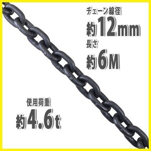 送料無料 チェーン 線径約12mm 使用荷重約4.6t 約4600kg 約6m G80 エコノミーモデル 鎖 くさり 吊り具 チェーンスリング スリングチェーン