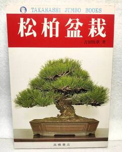 松柏盆栽 吉田悦章 高橋書店 昭和50年 1975年 高橋ジャンボブックス