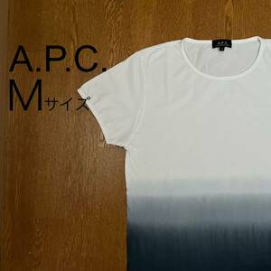 A.P.C. アーペーセー Tシャツ メンズ Mサイズ 白×ネイビーグラデーションプリント