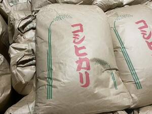 ☆即日発送☆新米☆玄米☆30kg☆兵庫県但馬産コシヒカリ☆１等級相当品☆令和６年８月収穫☆農家直仕入れ☆減農薬、有機栽培品☆こしひかり