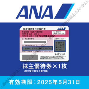 ●ANA 全日空 株主優待 番号ご案内書（1枚）2025/5/31迄【番号通知可】