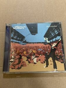 chemical brothers surrender ケミカルブラザーズ　輸入盤 CD