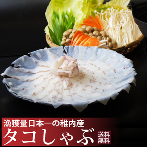 ☆日本一の稚内市が生んだ「しゃぶしゃぶ」の新定番☆　稚内産たこしゃぶ500g業務用 発祥の地、稚内産のタコを使用