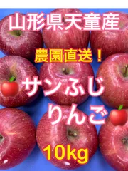 お買い得品！山形県産サンふじ10kg