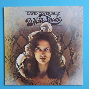 【外国盤/試聴済LP】DAVID COVERDALE『White Snake』1977年スカンジナビア盤SLP-3024★デヴィッド・カヴァデール★ディープ・パープル