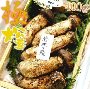 10/5入荷予定 国産 岩手久慈産 極上品【天然 大つぼみ 松茸 約350~400g】4~6本 高級品 誕生日祝い BBQバーベキュー 松茸ご飯 