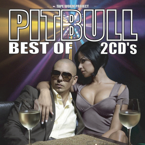 Pitbull ピットブル 豪華2枚組 怒涛の110曲 メガミックス 完全網羅 最強 Best Mega MixCD【2,490円→半額以下!!】匿名配送