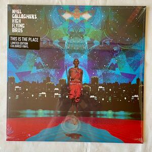 NOEL GALLAGHERS HIGH FLYING BIRDS THIS IS THE PLACE EP (12/MINT VINYL) 新品 LP アナログ盤 レコード ノエルギャラガー オアシス oasis