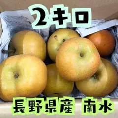 信州産♪訳あり 南水梨 約２キロ（箱の重さ等含む）#xsq