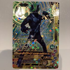 ガンバライジングGG1-008 LR 仮面ライダータイクーン　エントリーレイズフォーム