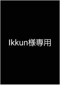 Ikkun様専用2