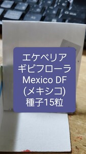 エケベリア　ギビフローラ, Mexico DF 種子15粒