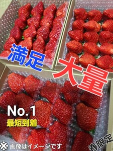 自信作です!佐賀産地～個人農園直送★《約3～4L玉》超新鮮!超美味、最速発送★三冠王達成　プレミアイチゴ