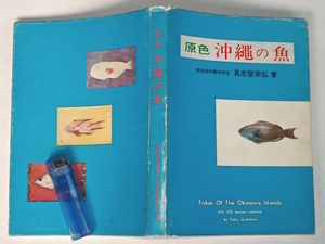 1972年 原色 沖縄の魚 具志堅宗弘 絶版 琉球 魚類 図鑑 方言 海中生物 漁業 水産業 市場 熱帯魚 昭和 レトロ