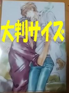 激レア/大判*A4クリアファイル「まばたきを三回:」凪良ゆう・円陣闇丸*送料込