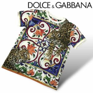 n203 DOLCE&GABBANA ドルチェ&ガッバーナ キッズ 11/12 半袖Tシャツ カットソー トップス 総柄 レオパード ヒョウ柄 140〜150 正規品