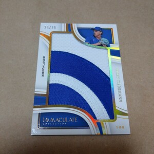 2023 Panini Immaculate Baseball Ricky Tiedemann Jumbo Patch Relic /38