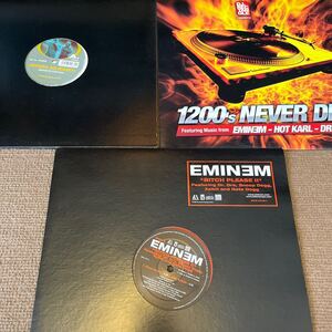 Eminem Featuring Dr. Dre, Snoop Dogg, Xzibit And Nate Dogg - Bitch Please II レコード　LP /Without Me (Rocky)/1200