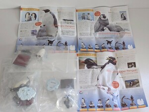 ネイチャーテクニカラー 南極 イワトビペンギン NATURE TECHNI COLOUR いきもん 3種セット