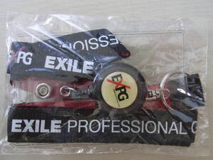 ★★★EXILE★PROFESSIONAL GYM★ネームプレートホルダー★新品・未使用★★★