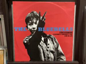 【12インチ】BLUEBELLS ☆ Forevermore 82年 UK London Records アナログ ネオアコ 名曲 Robert Hodgens Elvis Costello 良品