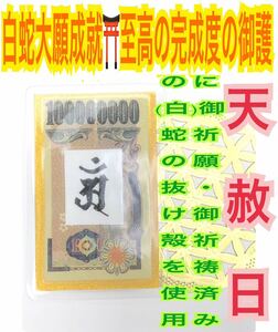 白蛇の抜け殻 梵字 種字 悉曇文字 アン 脱け殻 辰 巳 12干支 本尊 種札 普賢菩薩 メモリーオイル 白蛇のお守り【天赦日ご祈祷済み】財布 22