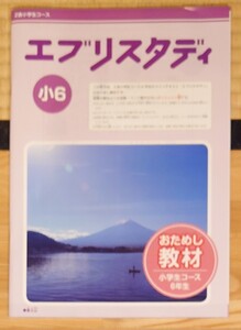 Z会小学生コース6年生　エブリスタディ　おためし教材　算数、理科、社会、国語　答え付き　2016年度版