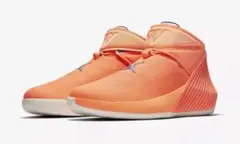 NIKE AIR JORDAN WHY NOT ZER0.1 PFX 29cm