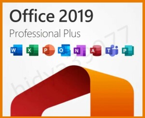 【即応】Office2019 Professional Plus ☆☆ ダウンロード版 ☆＜日本語版・永続版・PC 1台分＞