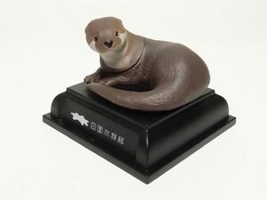 送220円～ 限定品! 四国水族館「コツメカワウソ」彩色済 フィギュア & 冊子セット　カプセルトイ 生物 ミニチュア ネイチャーテクニカラー