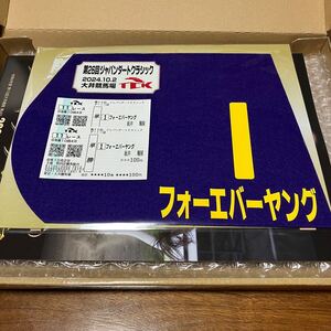 ジャパンダートクラシック　フォーエバーヤング ミニゼッケン 現地購入単勝馬券2枚 クリアファイル全3種