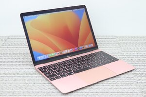 N 1円♪ 2【2017年！ i5 !】Apple / MacBook A1534(Retina,12-inch,2017) / CPU：core i5-1.3GHz / メモリ：8G / SSD：512G