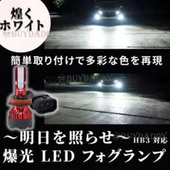 人気商品 24000lm LED フォグランプ HB3 ホワイト ハイビーム