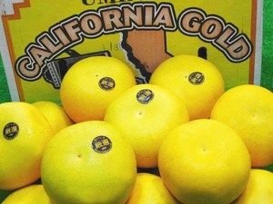 【Good】大量99箱出品中！カリフォルニア産メロゴールド 3～4玉入り ご予約