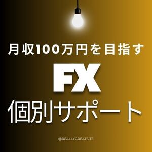 FXで月収100万円を目指す　個別サポート-5