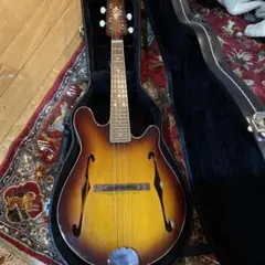 Fender Mandolin FM-60s