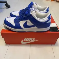 国内正規品 NIKE DUNK LOW SP ケンタッキー大