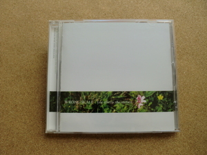 ＊WRONG SCALE／fate effects the surface（HKP-006）（日本盤）