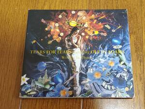 (CDシングル) Tears For Fears Featuring Oleta Adams●ティアーズ・フォー・フィアーズ / Woman In Chains UK盤