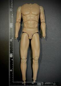 【在2/即決】WORLDBOX製 模型 1/6 スケール 男性 フィギュア 素体 ボディ 衣類を着せて飾る為の素となる部品 (未使用
