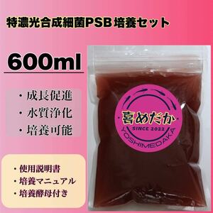 ★培養セット★特濃光合成細菌PSB600ml 喜めだか バクテリア メダカ めだか 卵 金魚 稚魚 針子 ゾウリムシ クロレラ ミジンコ 熱帯魚