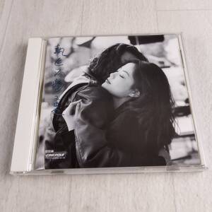 1MC13 CD フェイ・ウォン 王菲 Faye Wong 悔やまぬ心で 執迷不悔 POCP-1447 帯付き