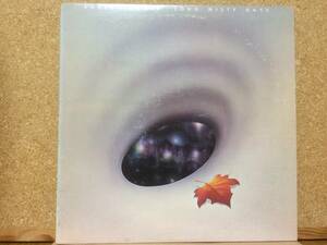 輸入LP★ロビン・トロワーRobin Trower★ロング・ミスティ・デイズLong Misty Days