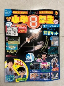 値下げ★小学８年生★生きている化石アルウテミア飼育キット