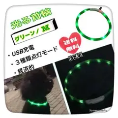 新品☆光る 首輪 LED 夜間 早朝 USB 充電 長さ調節 散歩 グリーン M