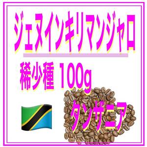 自家焙煎珈琲　ジェイヌキリマンジャロ　100ｇ　送料無料