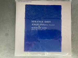 EP　佐野元春　STRANGE DAYS　Angelina　稀少盤