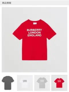 Burberry Tシャツ(12y 150㌢)大人もOK