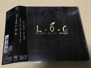 上杉昇/L.O.G/WANDS/al.ni.co/猫騙